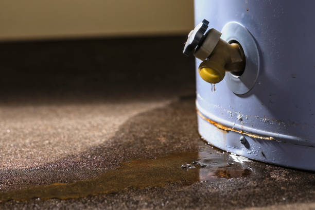 Best Sewage cleanup and water damage restoration  in Mullica Hill, NJ