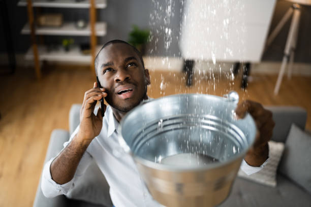 Best Water damage restoration near me  in Mullica Hill, NJ