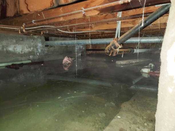 Best Emergency water damage restoration  in Mullica Hill, NJ