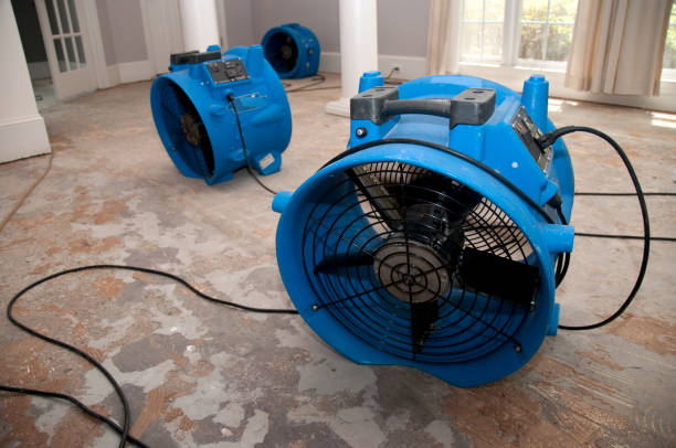 Best Commercial water damage restoration  in Mullica Hill, NJ