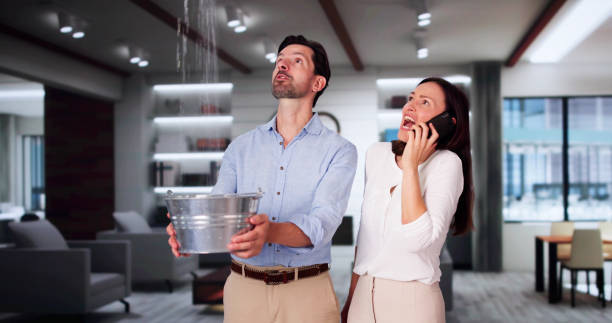 Best 24-hour water damage restoration  in Mullica Hill, NJ